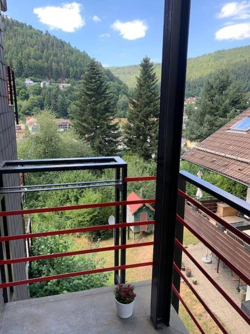 Gemuetliches Einzimmer-Apartment 33 Bad Wildbad Eksteriør bilde